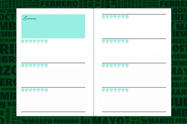 NUEVO | Planificador Anual  Appunto