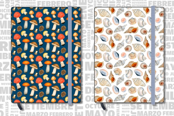 Cod. 261 | Tapa impresa